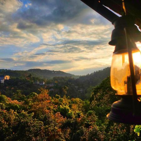 The Wild Trails Clarks Exotica , Munnar Hotel Ngoại thất bức ảnh