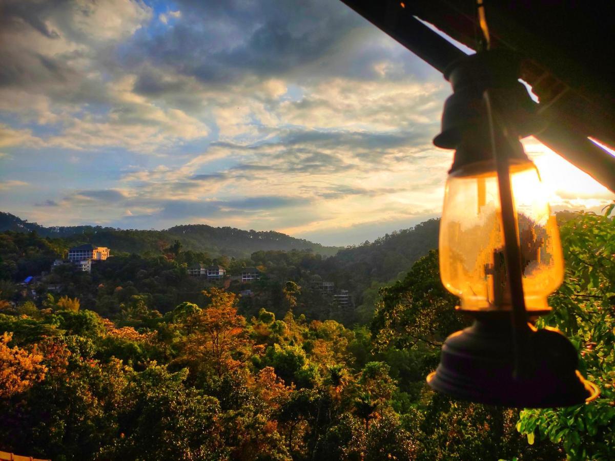 The Wild Trails Clarks Exotica , Munnar Hotel Ngoại thất bức ảnh