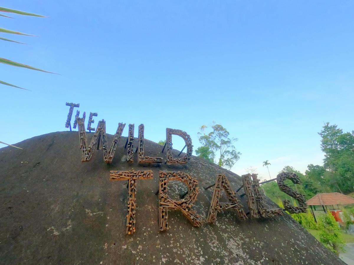 The Wild Trails Clarks Exotica , Munnar Hotel Ngoại thất bức ảnh