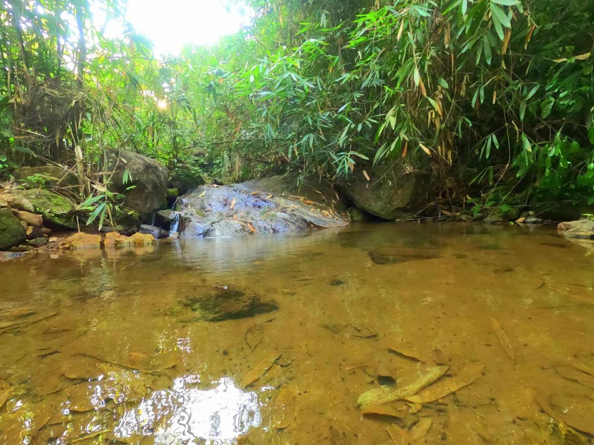 The Wild Trails Clarks Exotica , Munnar Hotel Ngoại thất bức ảnh