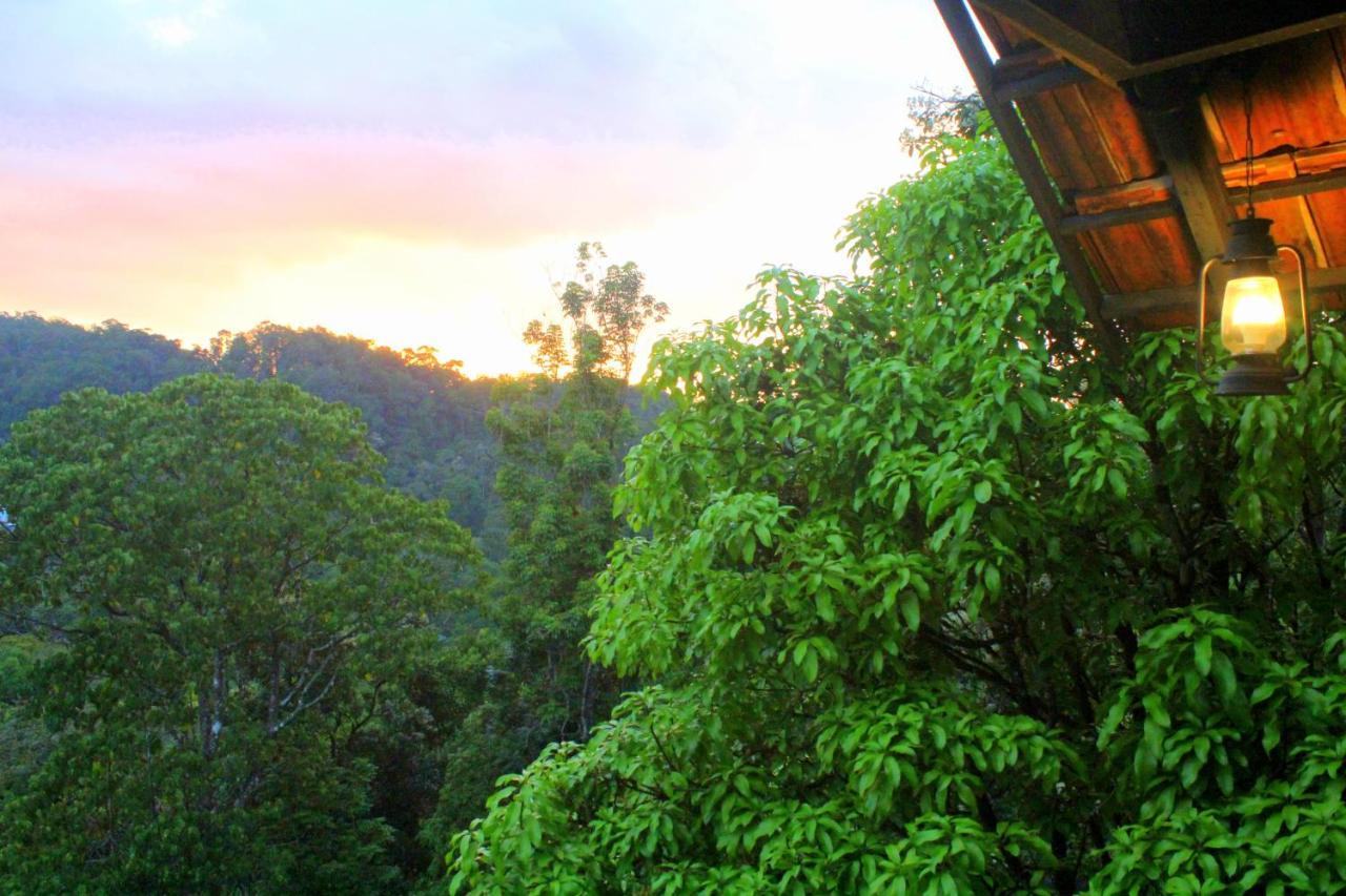 The Wild Trails Clarks Exotica , Munnar Hotel Ngoại thất bức ảnh