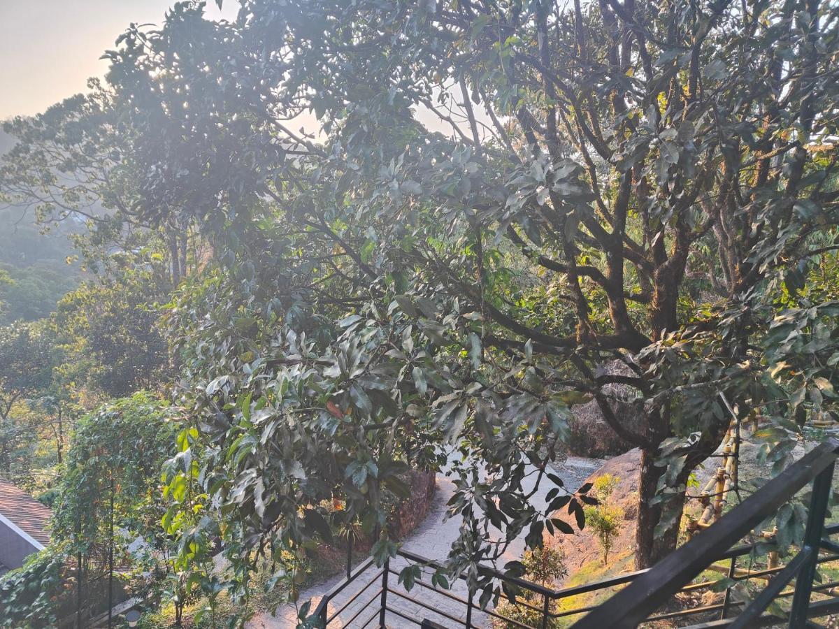 The Wild Trails Clarks Exotica , Munnar Hotel Ngoại thất bức ảnh