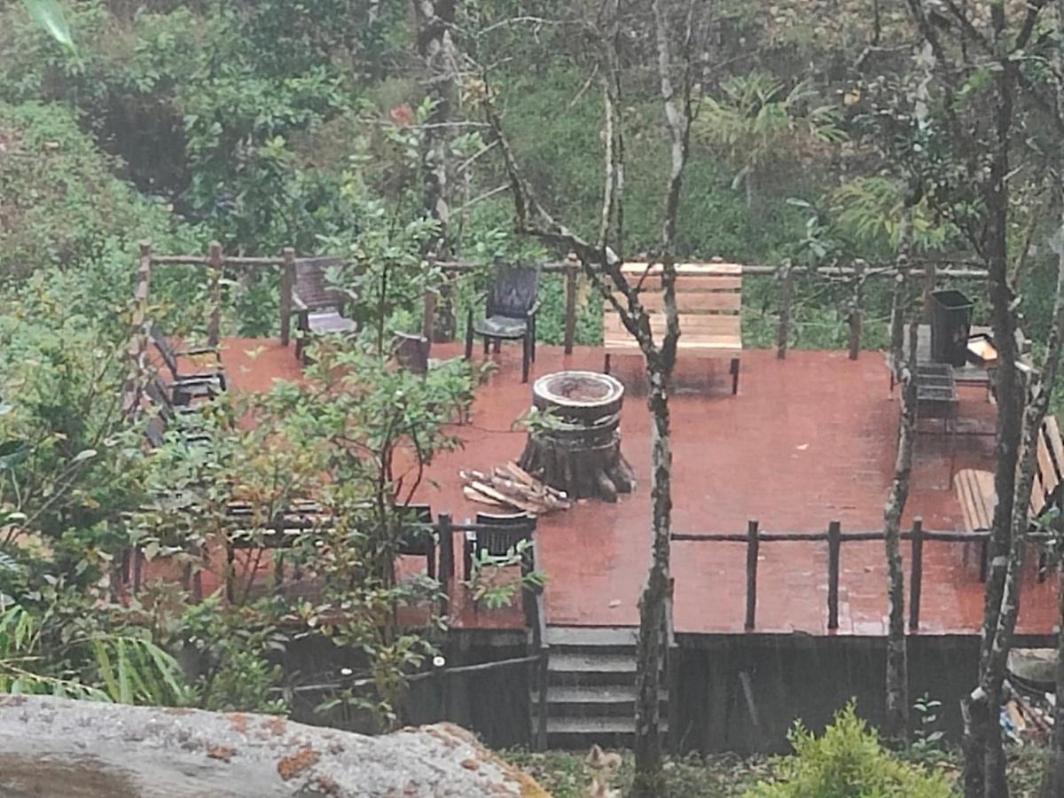 The Wild Trails Clarks Exotica , Munnar Hotel Ngoại thất bức ảnh